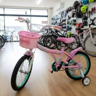 Bicicleta Infantil Aro 16 Good Mood Freio Ferradura E Tambor