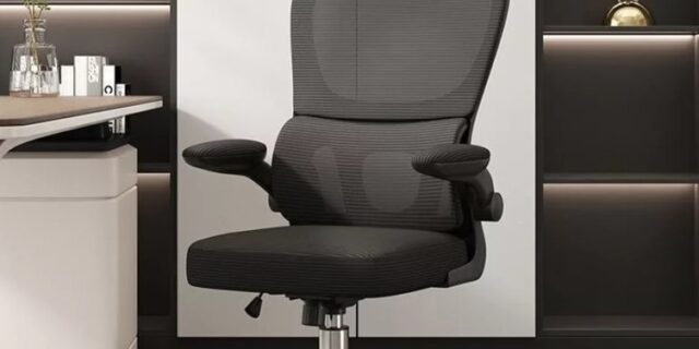 Cadeira de Escritório Ergonômica Com Apoio Lombar e Apoio de Cabeça