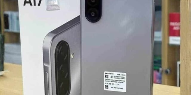 Samsung Galaxy A17 Com Ia, 128gb, 4gb Ram