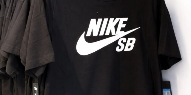Camiseta Nike Sb Masculina