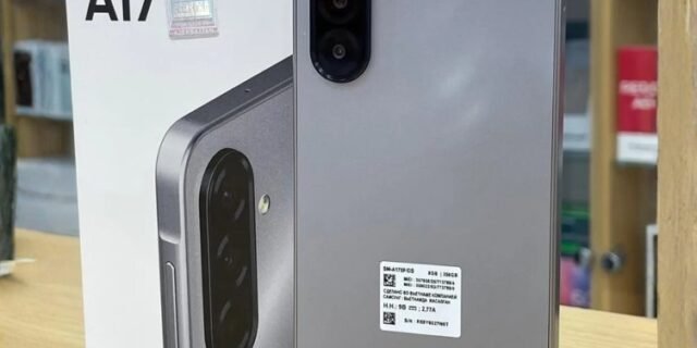 Celular Samsung Galaxy A17, 128GB, 4GB, 50MP Tela 6.7″, IP54 – Cinza