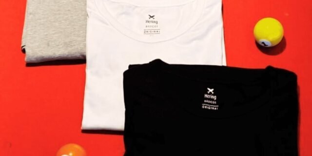 Kit Com 5 Camisetas Masculinas Básicas Hering