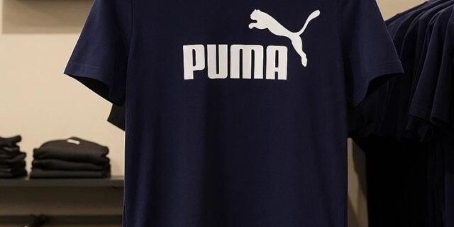 Camiseta Puma Essentials Masculina