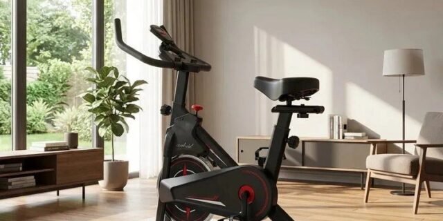 Bicicleta Ergométrica Marca Its 8kg Inercia | Fitness, Para Cardio e Musculação, Academia, Com Base, Cor Preto e Vermelho