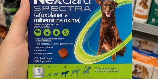 NexGard SPECTRA Antipulgas e Vermífugo para Cães de 7,6 a 15kg – 1 tablete