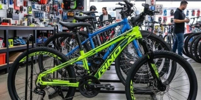 Bicicleta Aro 29 Rino Everest 24v – Cambios Index