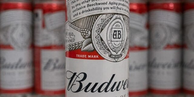 Pack Cerveja Budweiser American Lager Sleek 350ml – 12 Unidades