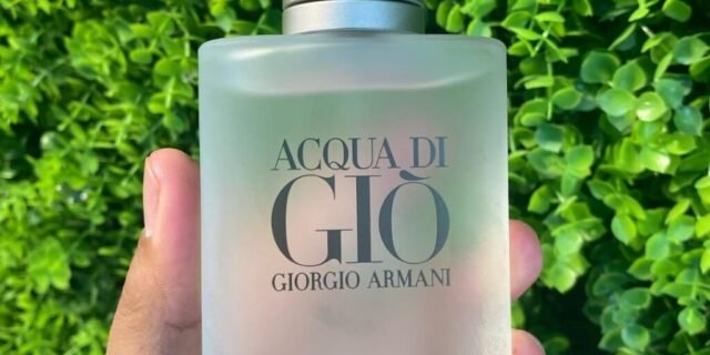 Acqua di Giò Eau de Toilette, Giorgio Armani 100ml