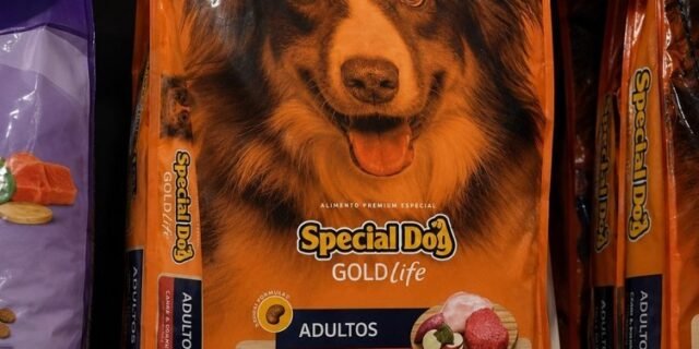 Ração Special Dog Gold Life para Cães Adultos Carne e Frango 15kg