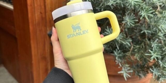 Stanley Copo Quencher com Alça Pomelo | 591ML