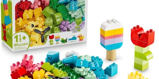 LEGO DUPLO Classic Caixa Colorida Criativa 10479